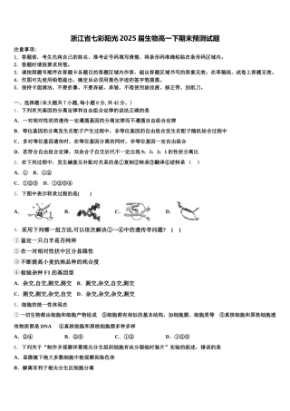 浙江省七彩阳光2025届生物高一下期末预测试题含解析