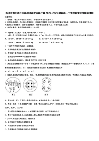 浙江省湖州市长兴县德清县安吉县三县2024-2025学年高一下生物期末统考模拟试题含解析