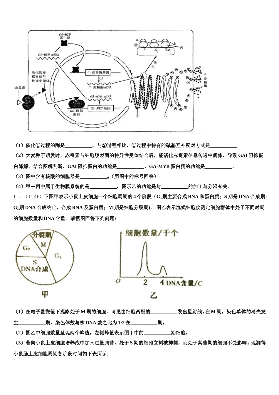 2025届台州市重点中学高一生物第二学期期末统考试题含解析_第3页