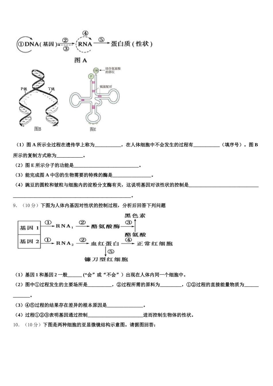 2025届浙江省春晖中学高一生物第二学期期末学业水平测试模拟试题含解析_第3页