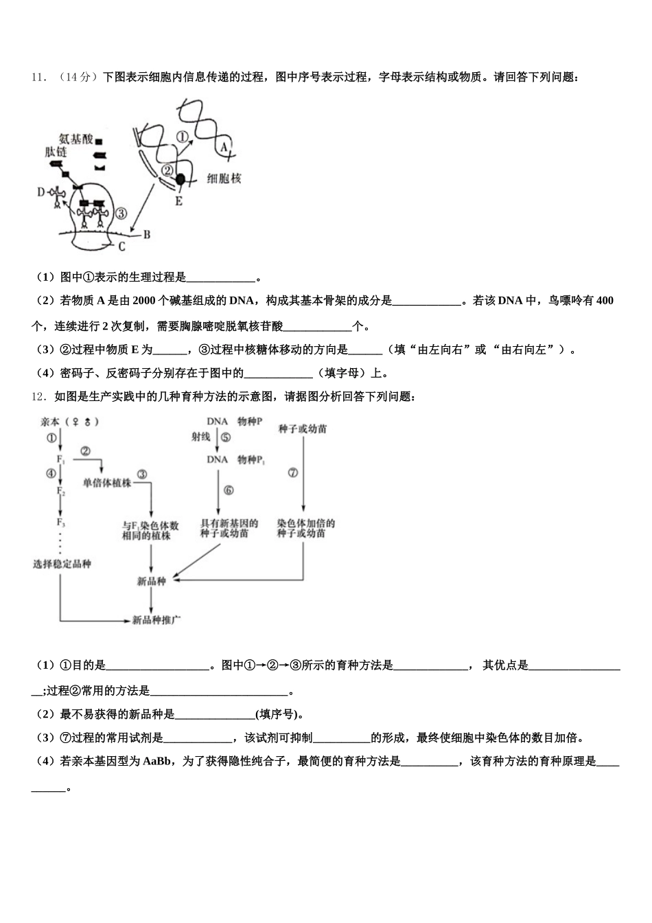 浙江省宁波市余姚中学2025届高一生物第二学期期末质量检测试题含解析_第3页