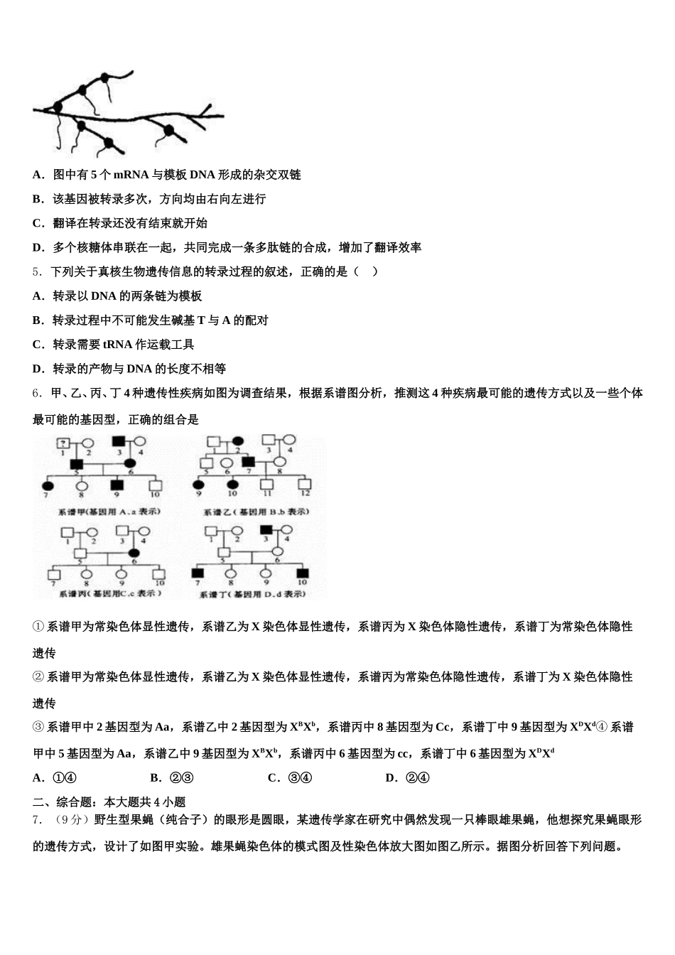 浙南名校联盟2025届高一下生物期末调研试题含解析_第2页