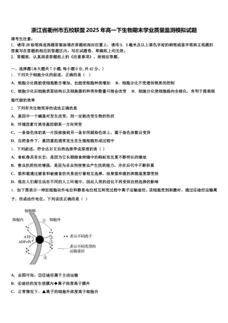 浙江省衢州市五校联盟2025年高一下生物期末学业质量监测模拟试题含解析