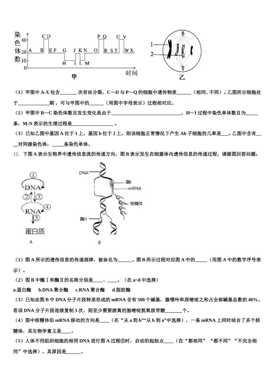 2024-2025学年浙江省宁波市鄞州中学高一下生物期末教学质量检测模拟试题含解析_第3页
