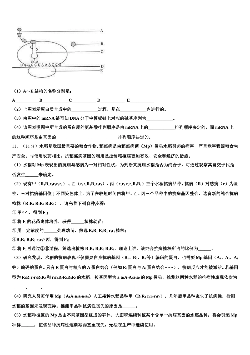 2025届浙江省宁海县十校联考高一下生物期末质量跟踪监视模拟试题含解析_第3页