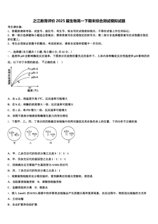 之江教育评价2025届生物高一下期末综合测试模拟试题含解析