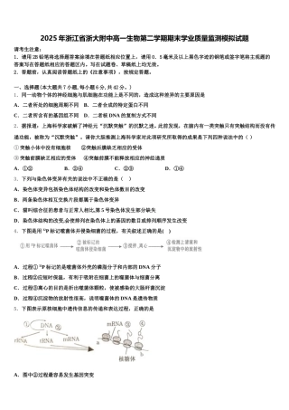 2025年浙江省浙大附中高一生物第二学期期末学业质量监测模拟试题含解析