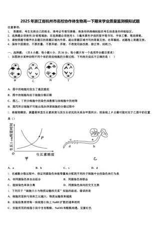 2025年浙江省杭州市名校协作体生物高一下期末学业质量监测模拟试题含解析
