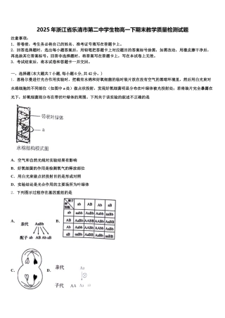 2025年浙江省乐清市第二中学生物高一下期末教学质量检测试题含解析