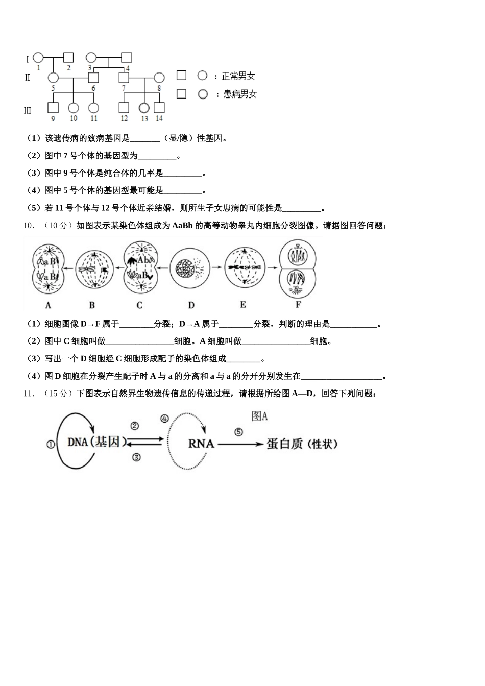 2025届浙江省宁波市慈溪市生物高一第二学期期末统考试题含解析_第3页