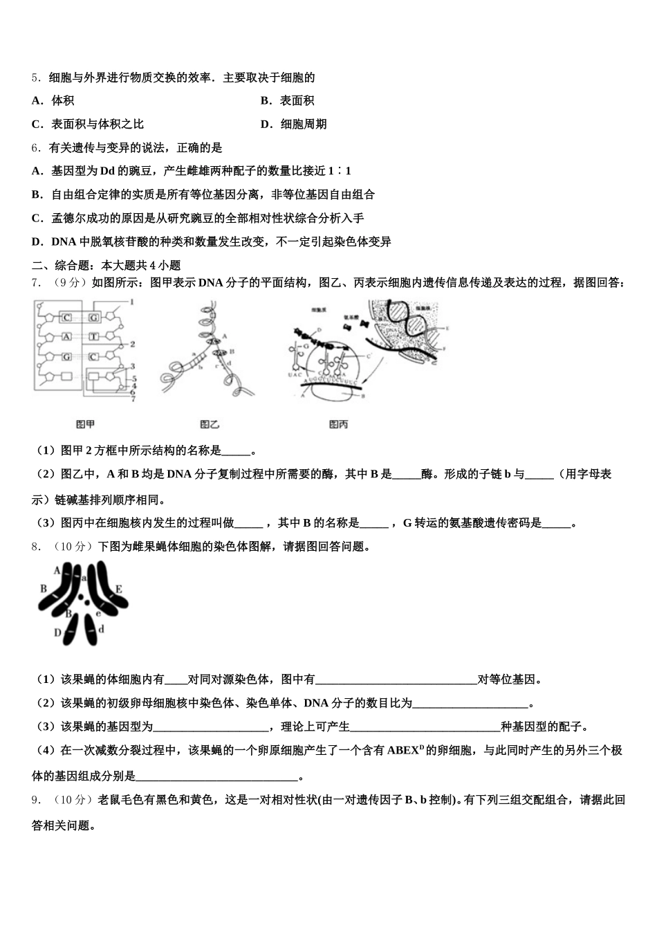 浙江省衢州一中2025届高一生物第二学期期末考试模拟试题含解析_第2页