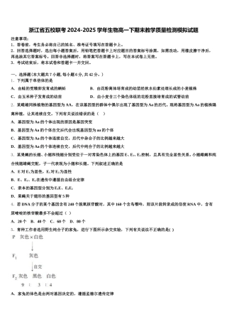 浙江省五校联考2024-2025学年生物高一下期末教学质量检测模拟试题含解析
