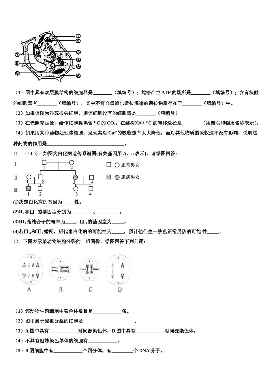 浙江省湖州市2024-2025学年高一生物第二学期期末质量检测试题含解析_第3页