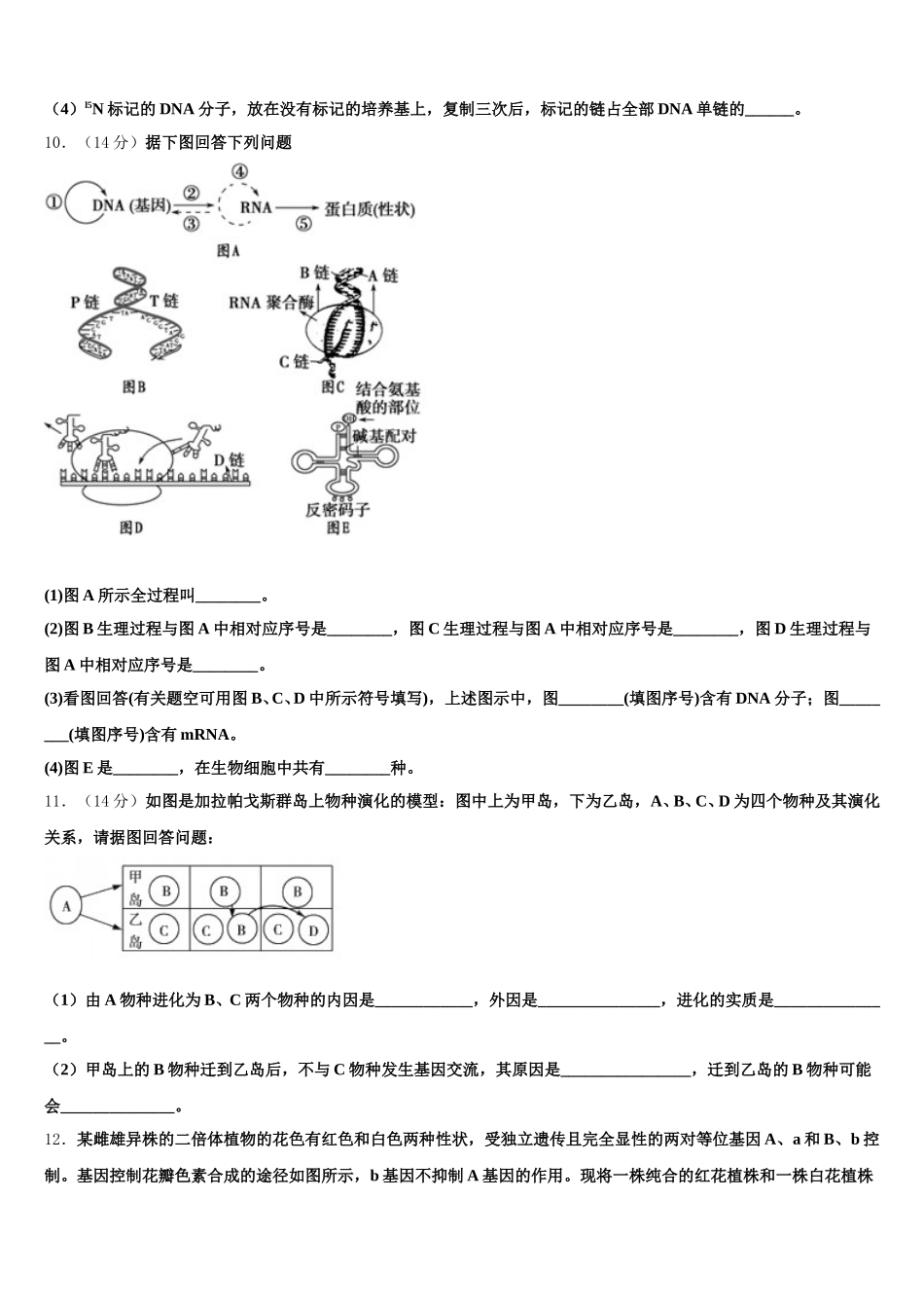 2024-2025学年浙江省温州树人中学高一下生物期末联考模拟试题含解析_第3页