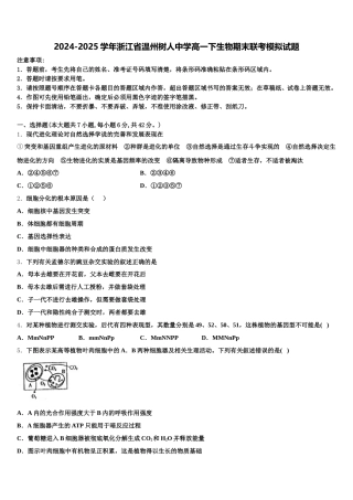 2024-2025学年浙江省温州树人中学高一下生物期末联考模拟试题含解析