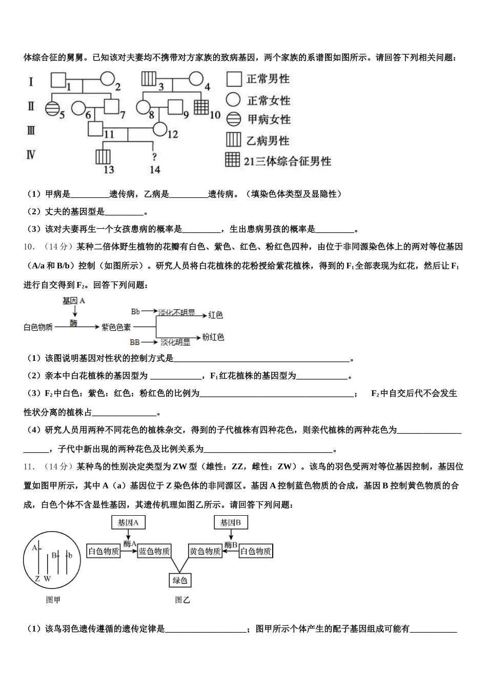 2025届浙江省春晖中学生物高一下期末复习检测模拟试题含解析_第3页