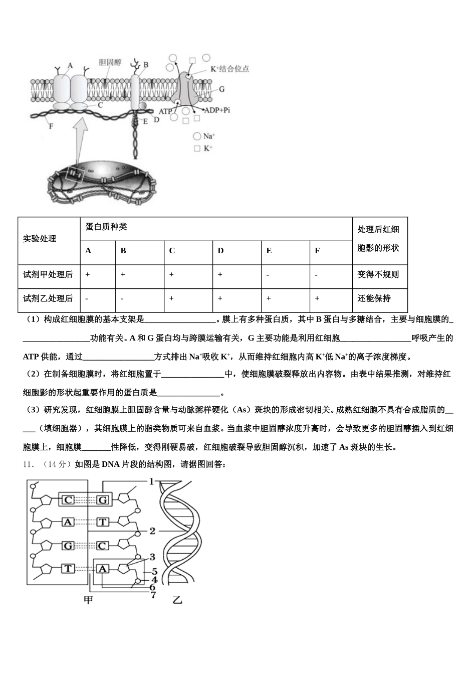 2025届青海省西宁市大通县第一中学高一下生物期末达标检测模拟试题含解析_第3页