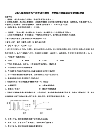 2025年青海省西宁市大通二中高一生物第二学期期末考试模拟试题含解析