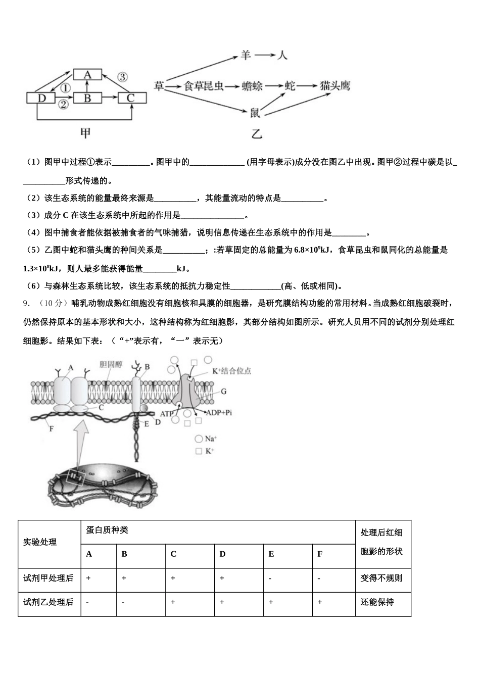 2025届青海师范大学附属第二中学生物高一第二学期期末学业质量监测模拟试题含解析_第3页