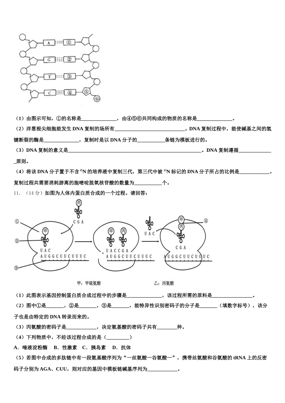青海省西宁市第五中学2024-2025学年高一生物第二学期期末调研模拟试题含解析_第3页