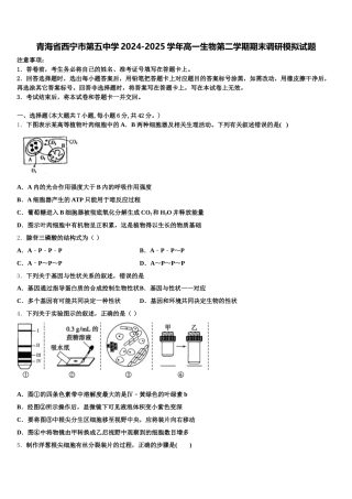 青海省西宁市第五中学2024-2025学年高一生物第二学期期末调研模拟试题含解析