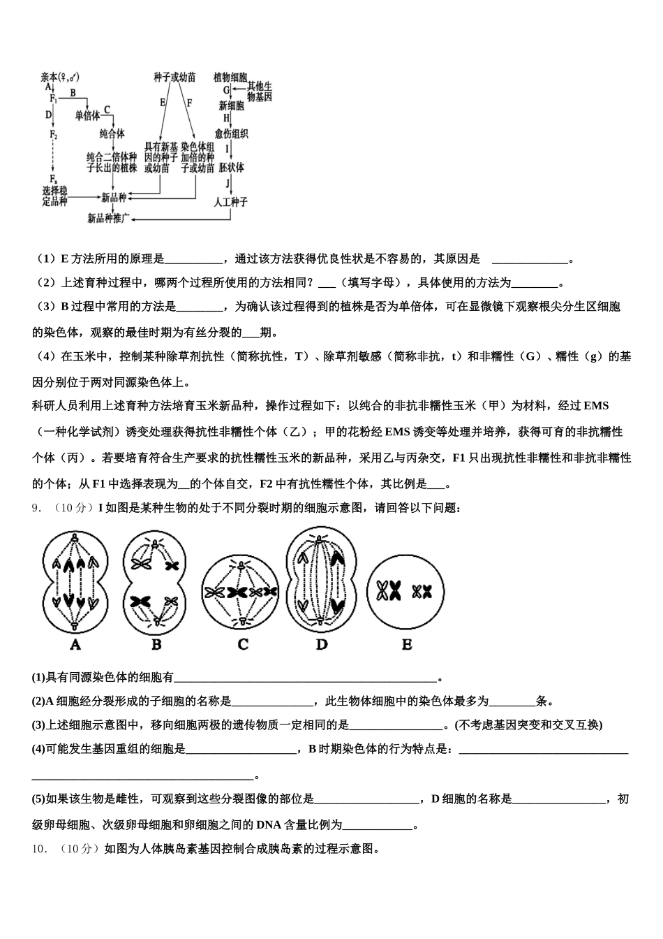 2025届青海省大通回族土族自治县第一完全中学生物高一下期末复习检测试题含解析_第3页