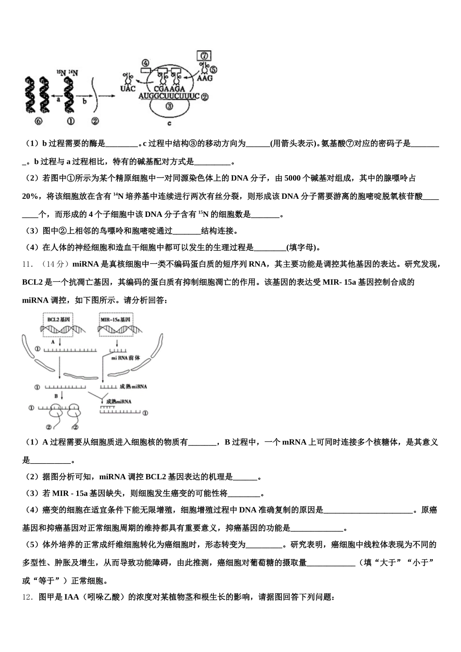2024-2025学年青海省海北市高一下生物期末学业质量监测模拟试题含解析_第3页