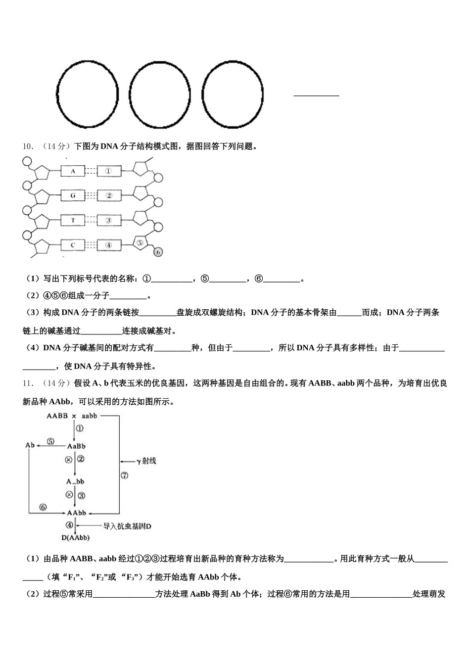 2025届青海省大通回族土族自治县第一完全中学高一下生物期末经典试题含解析_第3页