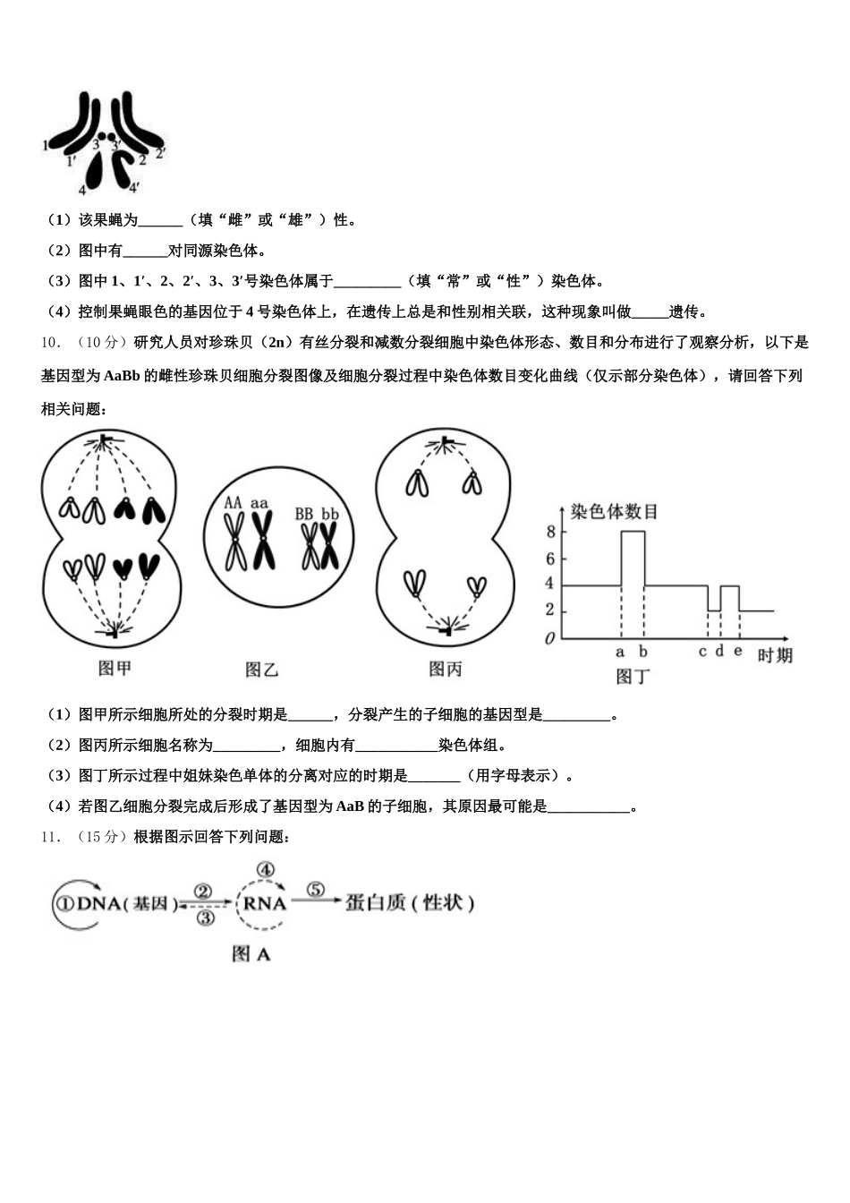 青海省海东市二中2025届高一生物第二学期期末学业质量监测试题含解析_第3页