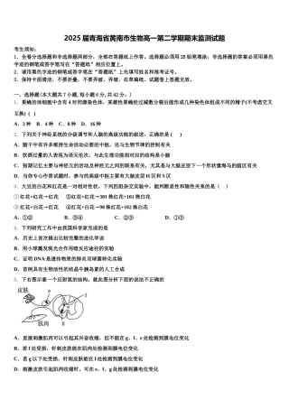 2025届青海省黄南市生物高一第二学期期末监测试题含解析