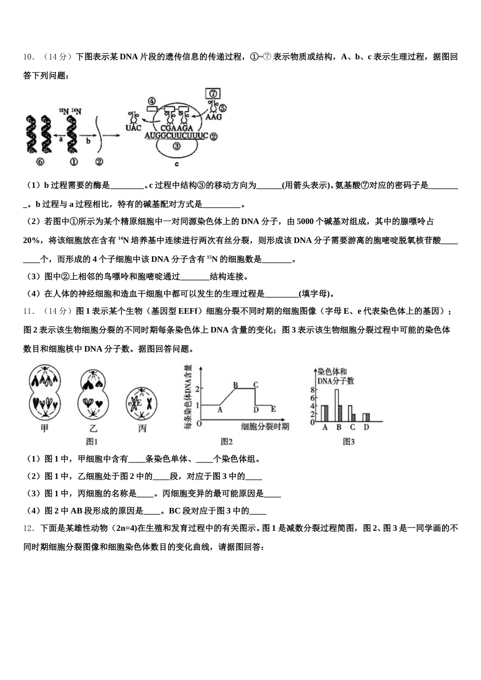 2025年青海西宁市第四高级中学生物高一第二学期期末教学质量检测模拟试题含解析_第3页
