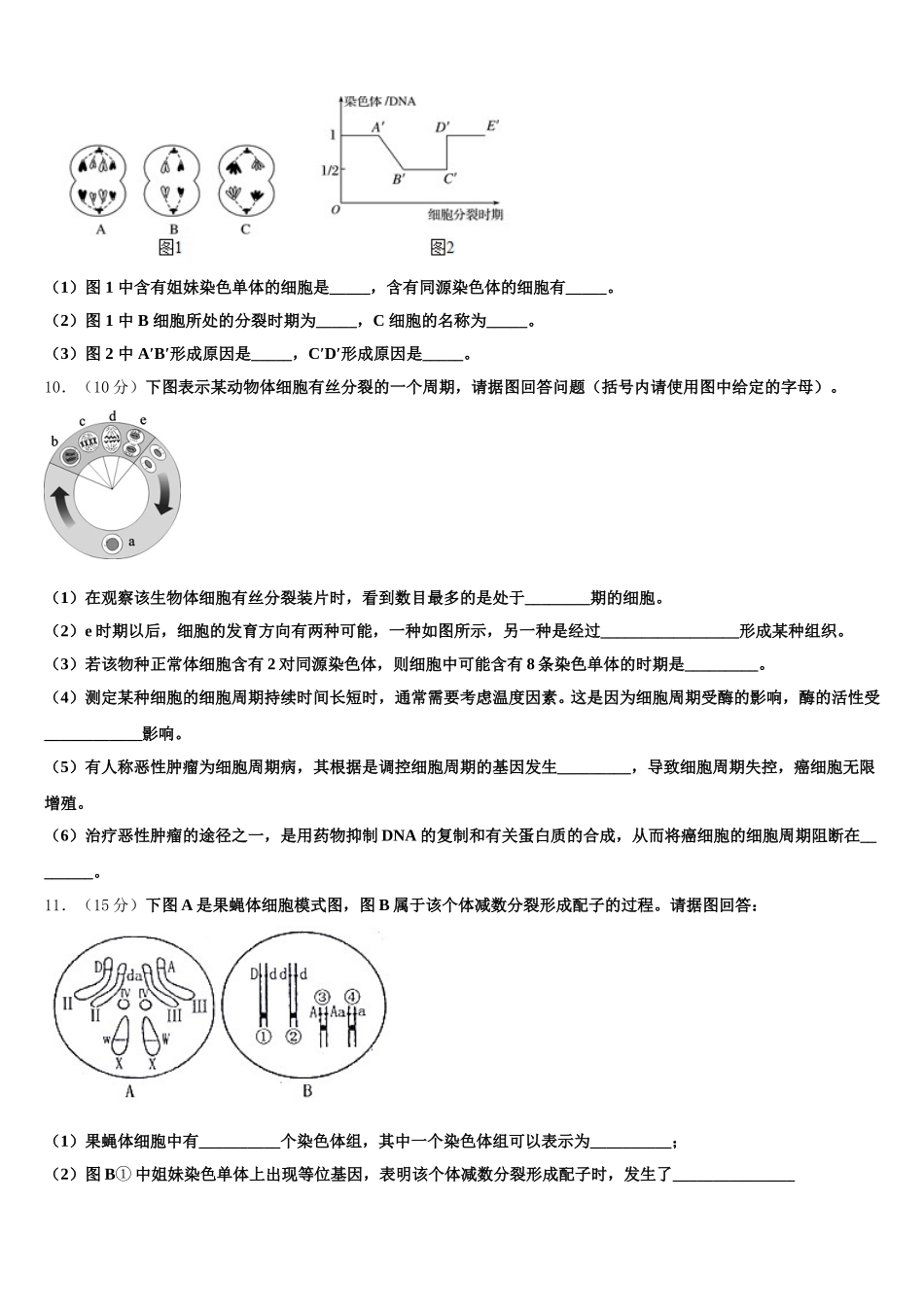 青海省海东市平安区第二中学2025年高一下生物期末联考模拟试题含解析_第3页