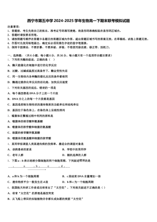 西宁市第五中学2024-2025学年生物高一下期末联考模拟试题含解析