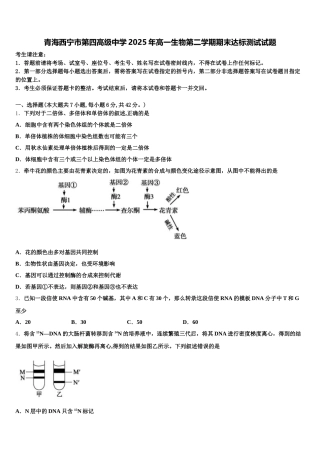 青海西宁市第四高级中学2025年高一生物第二学期期末达标测试试题含解析