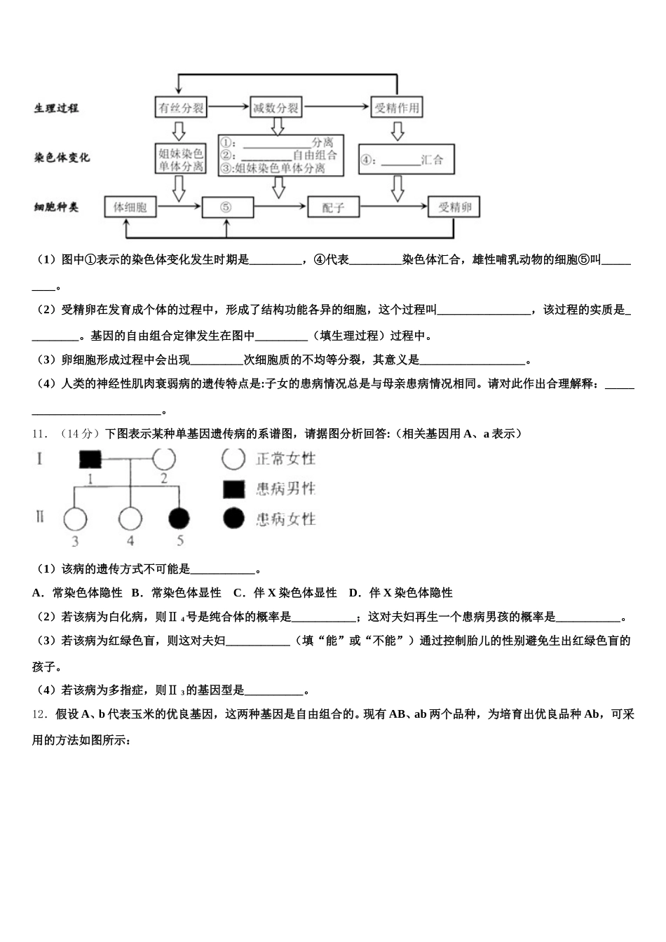 2025届西宁第十四中学生物高一第二学期期末学业质量监测模拟试题含解析_第3页