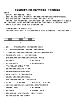 西宁市第四中学2024-2025学年生物高一下期末经典试题含解析