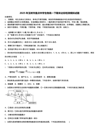 2025年玉树市重点中学生物高一下期末达标检测模拟试题含解析