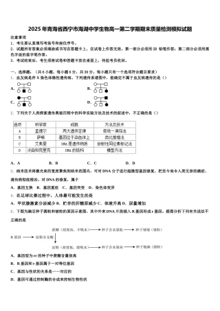 2025年青海省西宁市海湖中学生物高一第二学期期末质量检测模拟试题含解析