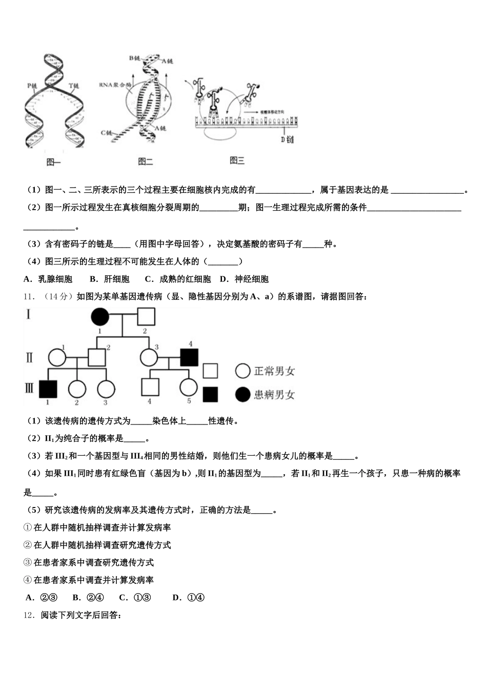 新疆阿克苏市农一师中学2024-2025学年生物高一第二学期期末监测试题含解析_第3页