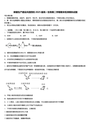 新疆生产建设兵团四校2025届高一生物第二学期期末检测模拟试题含解析