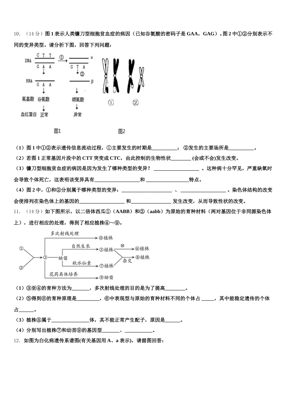 新疆生产建设兵团一师高级中学2025年高一生物第二学期期末综合测试模拟试题含解析_第3页