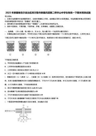 2025年新疆维吾尔自治区库尔勒市新疆兵团第二师华山中学生物高一下期末预测试题含解析