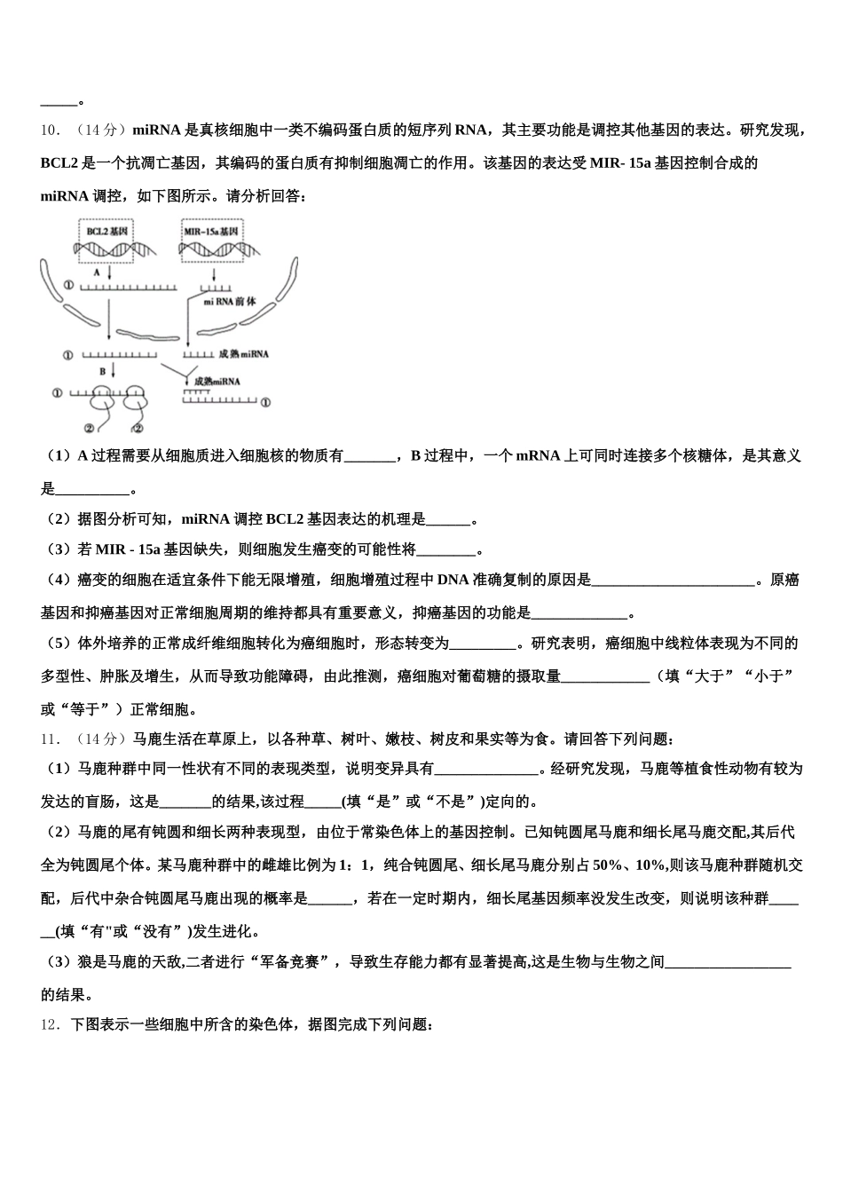 新疆喀什市深喀第一高级中学2025届高一下生物期末联考试题含解析_第3页