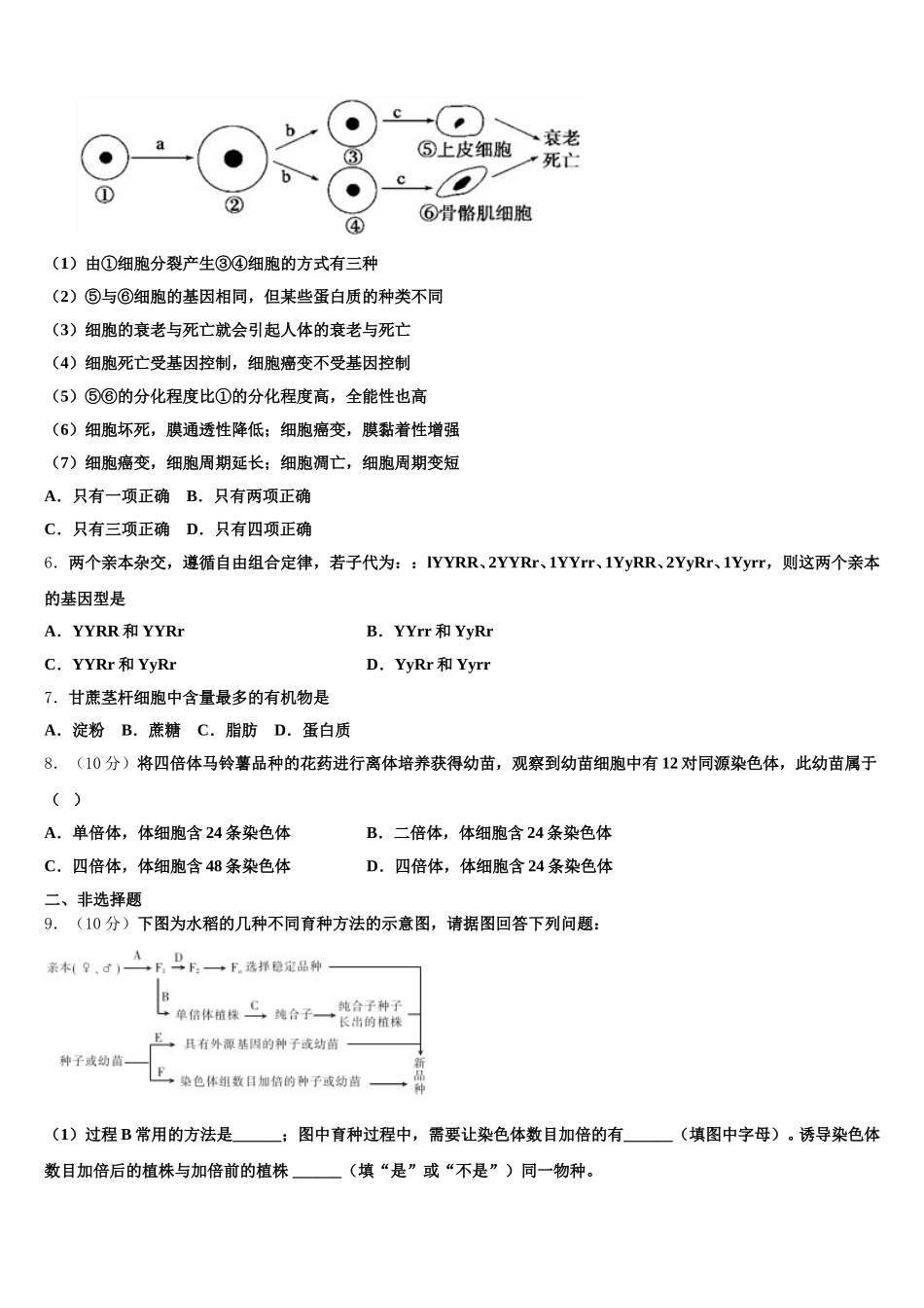 2025届新疆自治区北大附中新疆分校生物高一第二学期期末考试模拟试题含解析_第2页