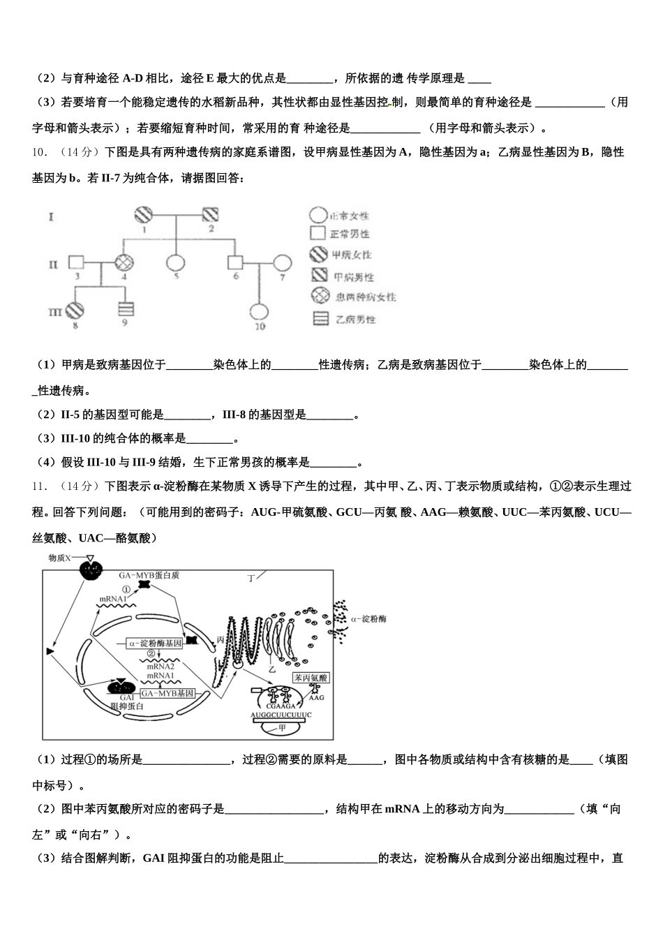 2025届新疆自治区北大附中新疆分校生物高一第二学期期末考试模拟试题含解析_第3页
