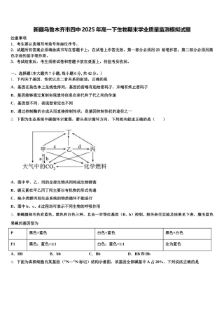 新疆乌鲁木齐市四中2025年高一下生物期末学业质量监测模拟试题含解析
