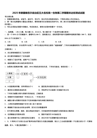2025年新疆维吾尔自治区五大名校高一生物第二学期期末达标测试试题含解析