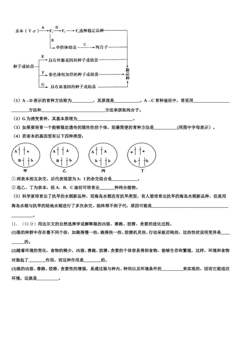 新疆乌鲁木齐市天山区兵团第二中学2025届高一生物第二学期期末质量跟踪监视试题含解析_第3页