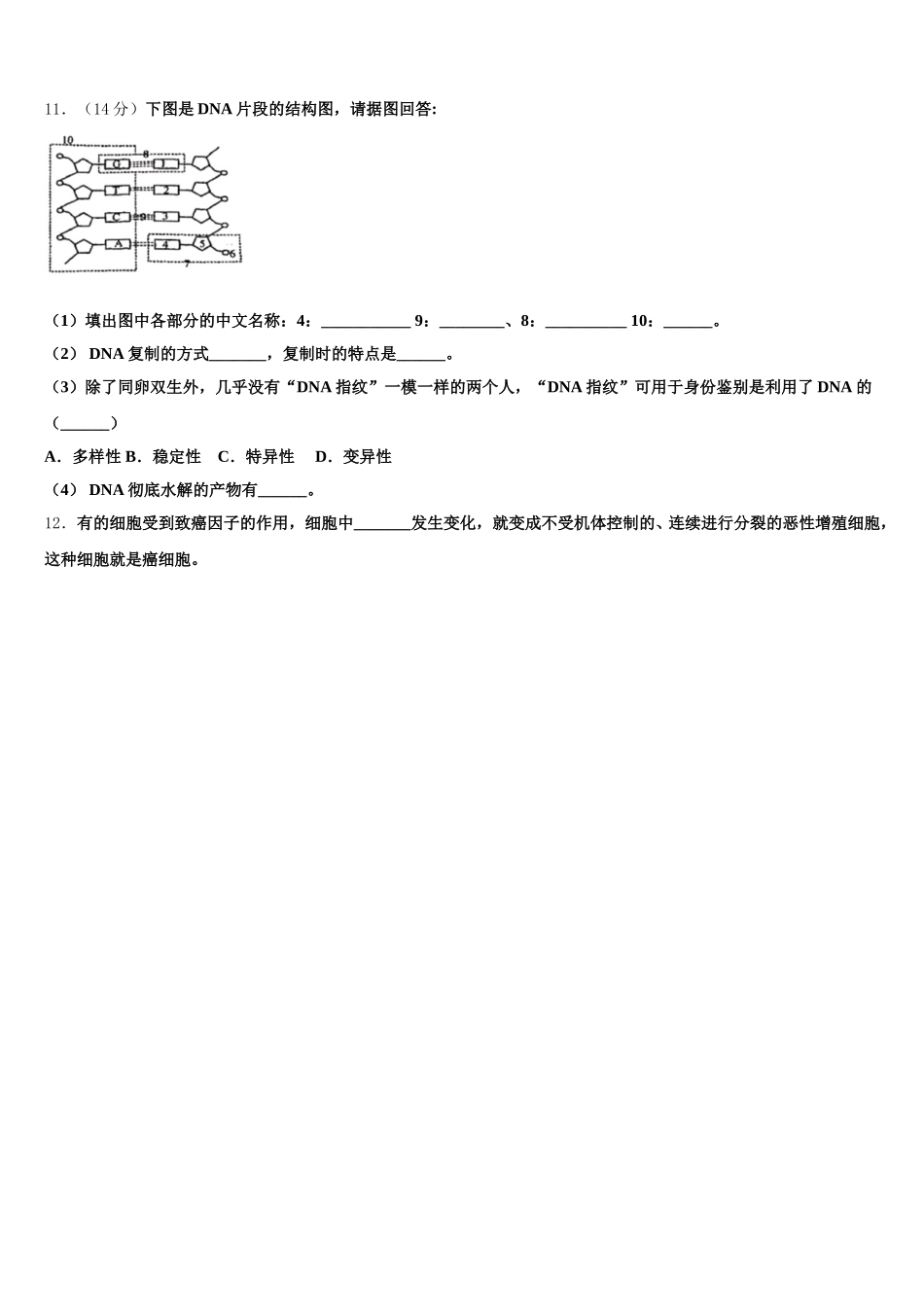 新疆伊西哈拉镇中学2024-2025学年高一下生物期末达标检测试题含解析_第3页