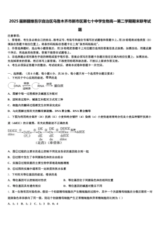 2025届新疆维吾尔自治区乌鲁木齐市新市区第七十中学生物高一第二学期期末联考试题含解析